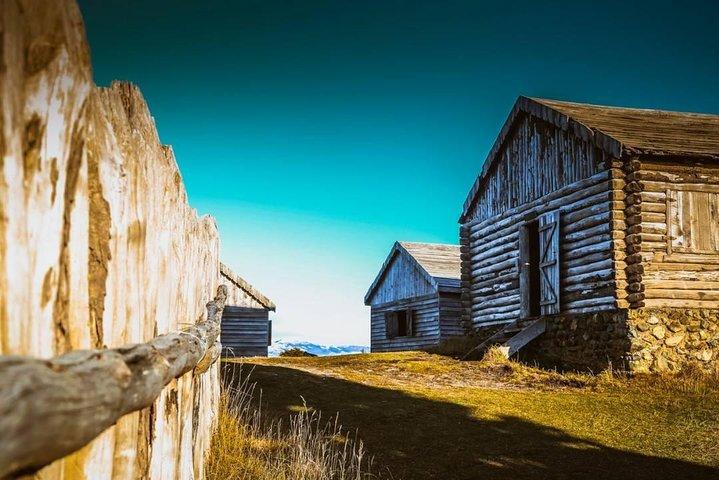 Cruises Shore Excursions : Highlights + Fort Bulnes