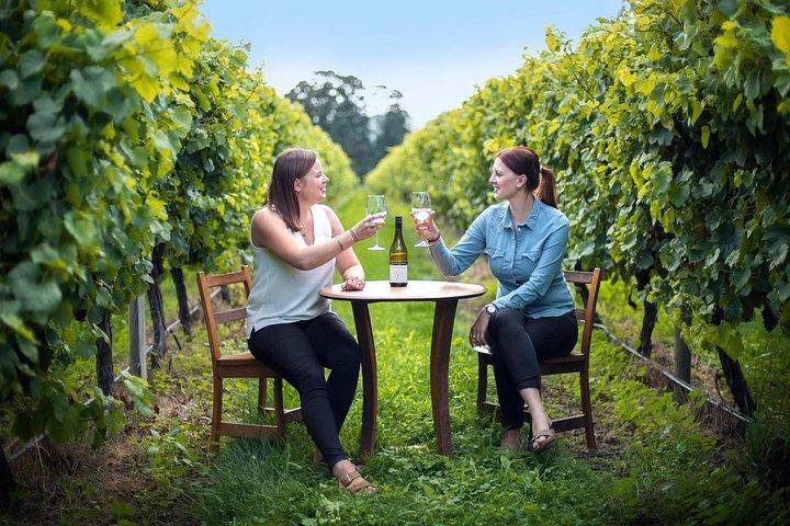 Half-Day Wine Tour from Blenheim