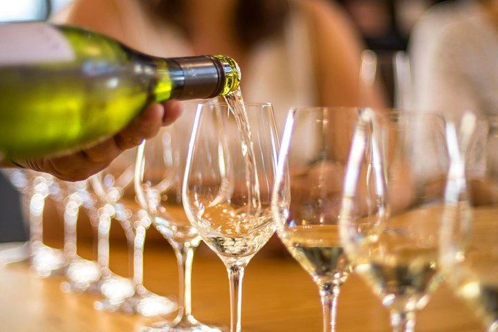 Half-Day Wine Tour from Blenheim
