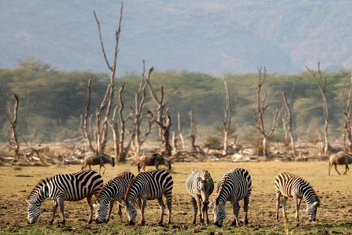 3 Day: Tarangire, Ngorongoro Crater and Lake Manyara N.P