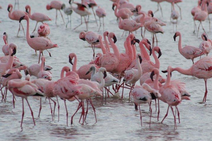 3 Day: Tarangire, Ngorongoro Crater and Lake Manyara N.P