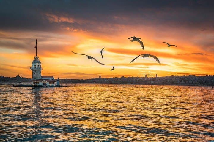 Bosphorus Dinner Cruise for Transit Passengers with Pick up
