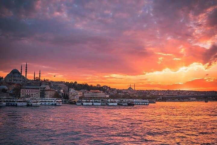 Bosphorus Dinner Cruise for Transit Passengers with Pick up