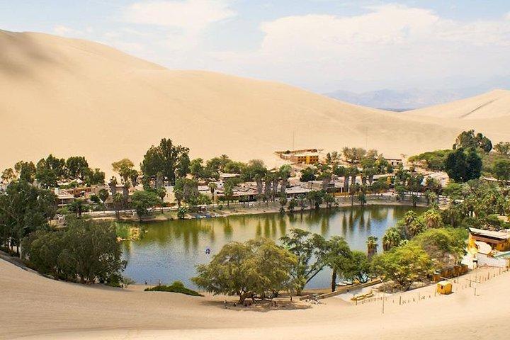 Full Day Paracas - Ica - Oasis Huacachina