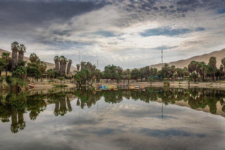 Full Day Paracas - Ica - Oasis Huacachina