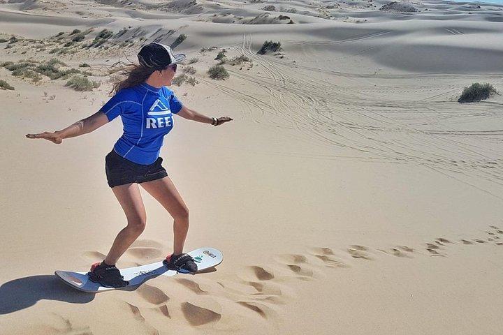 Full Day Paracas - Ica - Oasis Huacachina