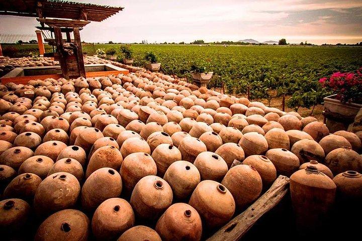Winery and Pisco Distillery tour