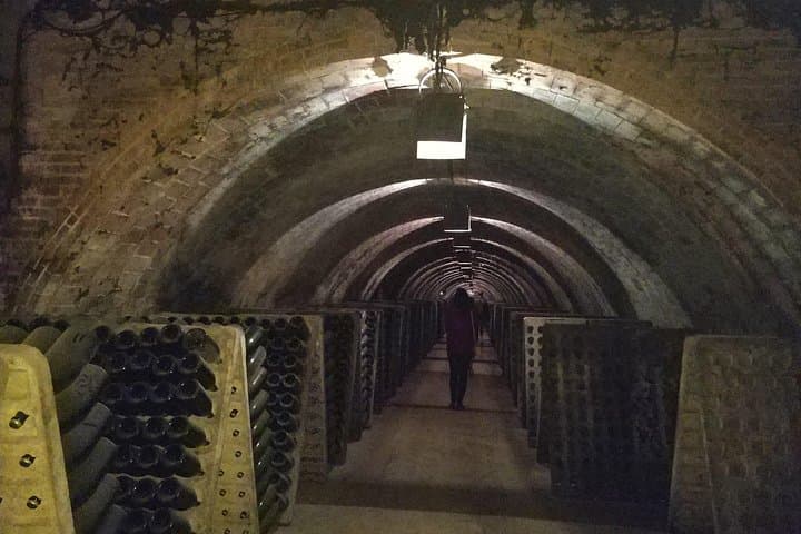 Private Wine & Cava Tasting Tour In Penedes with hotel pick up