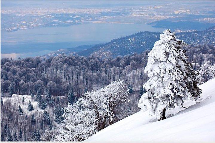 Sapanca and Zoo Private Tour From Istanbul - VIP Minivan - Best Quality