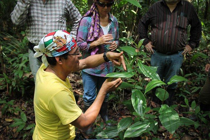Amazon Untamed Expedition 3 Days and 2 Nights pacaya samiria