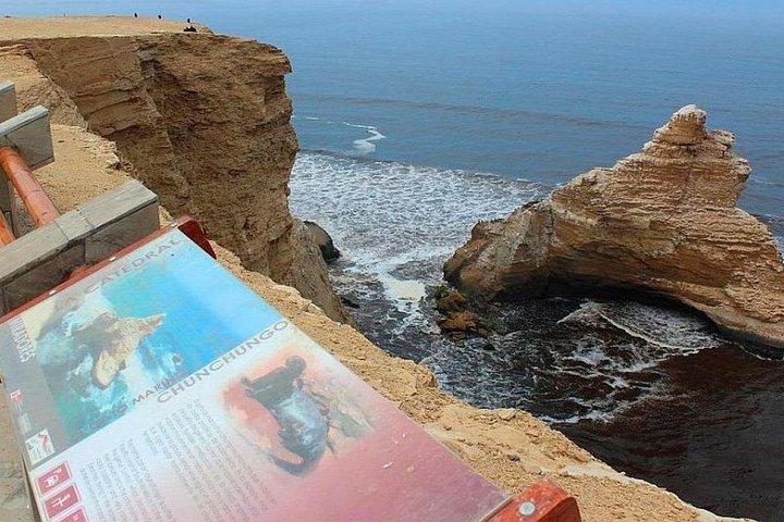 Paracas National Reserve Half-Day Tour