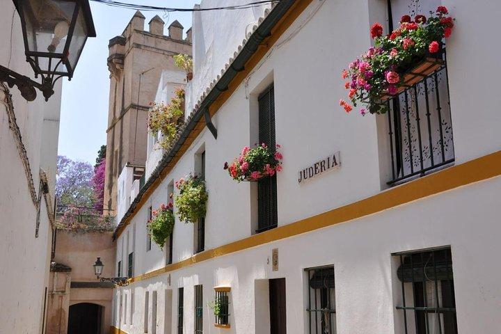 Walking tour through the old Jewish quarter of Santa Cruz.