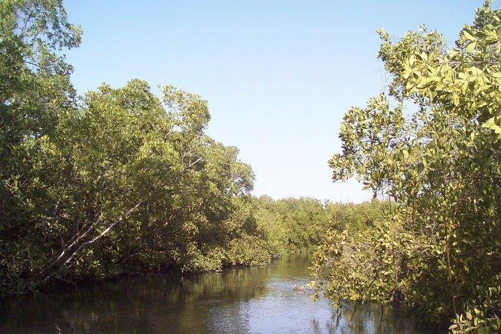 Day tour Somone lagoon and Bandia park Safari