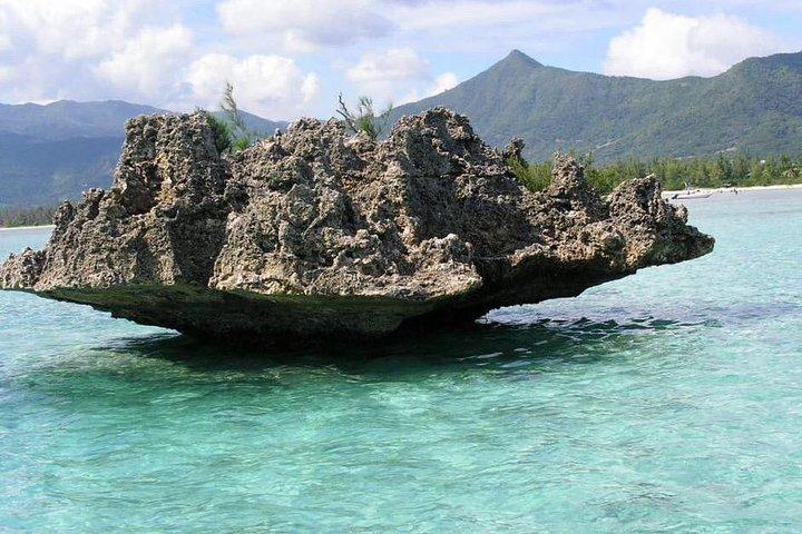 Dolphin Experience in Open Sea and South West Tour of Mauritius including Lunch