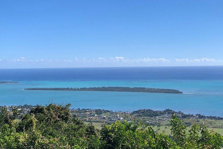 Dolphin Experience in Open Sea and South West Tour of Mauritius including Lunch