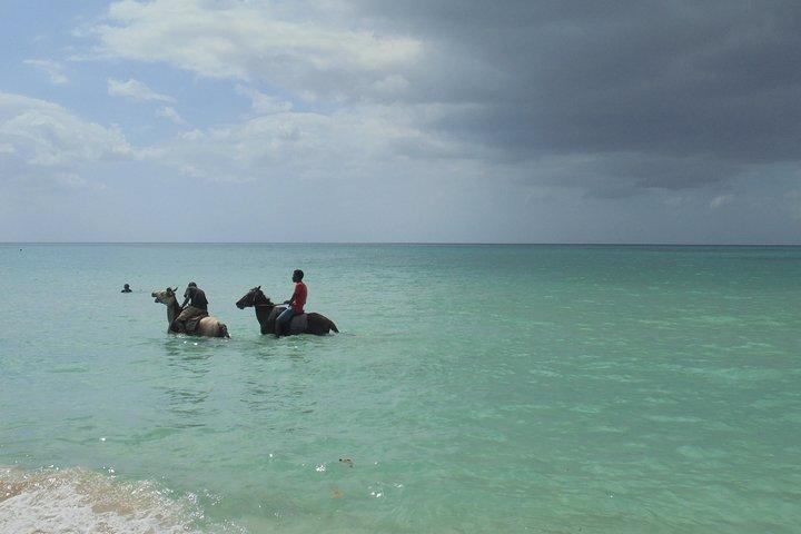 Private Montego Bay Airport Transfer to Negril
