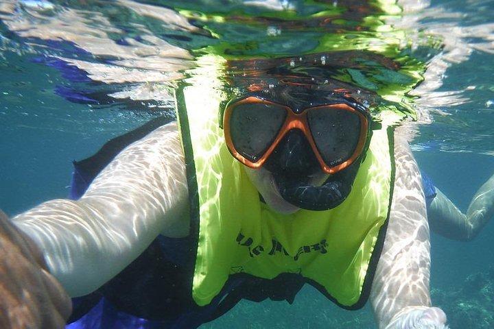 Snorkeling Lesson & Interactive Experience for Kids and Adults