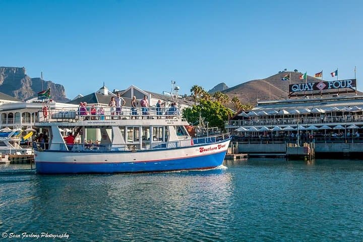 Half Hour Seal and Harbour Cruise from Cape Town