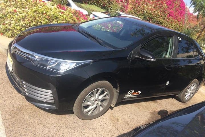 Private Transfer from Cairo Airport