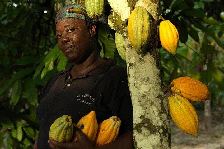 Ghana : Accra: Botanical Gardens, Cocoa Farms, Waterfalls Trip