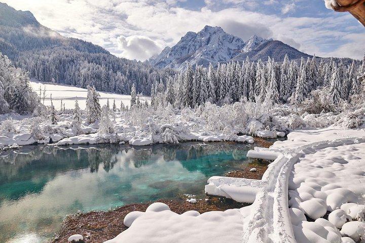 West Triglav National Park Adventure - Half day trip from Bled