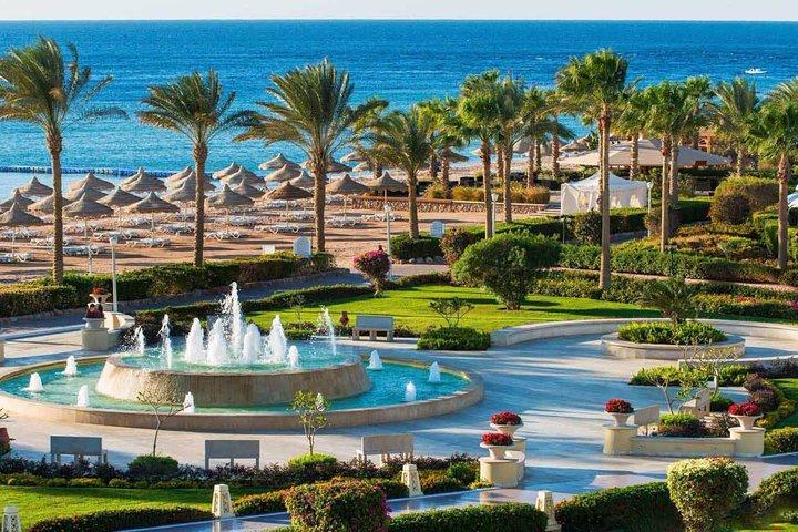 Day Tour To Red Sea El Ain Sohkna From Cairo