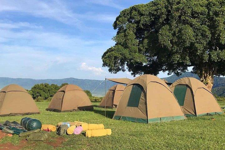 4 Days join group tour Tarangire Serengeti and Ngorongoro crater