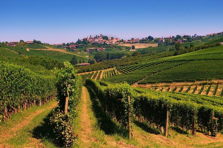Langhe Wine & Food Tour from Turin: Barolo and More
