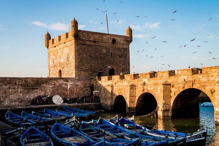 Essaouira Unveiled: A Day of Culture and Coastal Wonders!