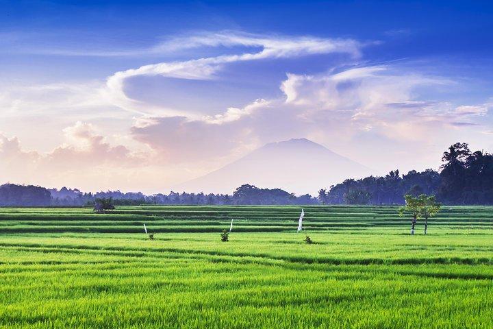 Highlights of Ubud & Mount Batur Volcano - Private Day Trip