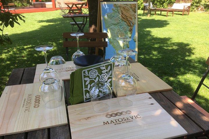 Wine Tour - The Best of Istria