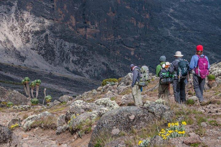6 Days Kilimanjaro Trek – Umbwe Route