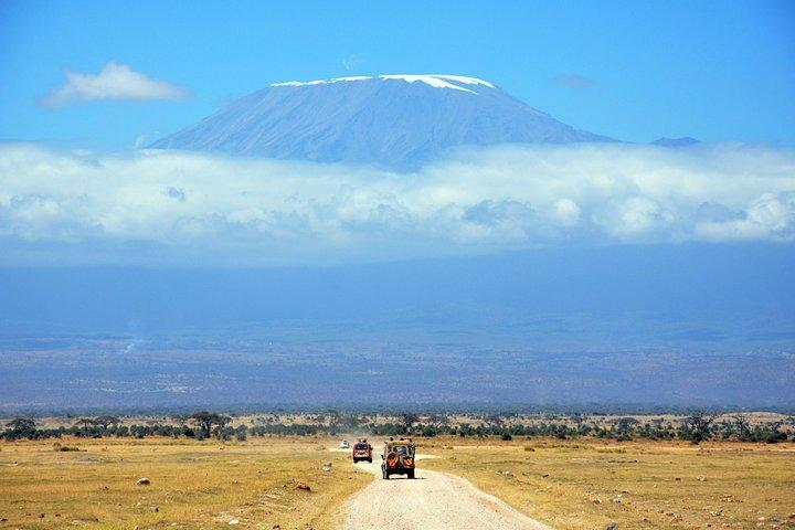 1 Day Mount Kilimanjaro Hike Trip
