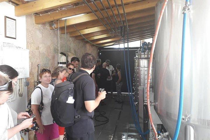 Enjoy The Algarvian Wine Taste & Coast Line Private Van Tour