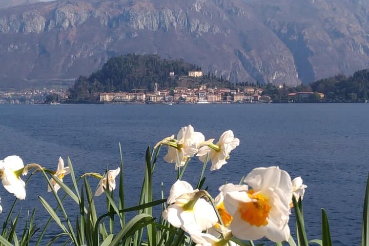 Day tour from Milan: Lake Como & Bellagio Cruise- Semi private