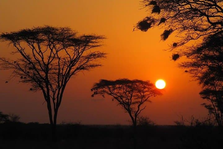 3 days Meru National Park Safari