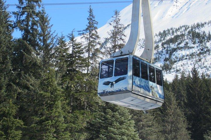 Alaska Wildlife Center and Turnagain Arm Tour w/Alyeska Tram