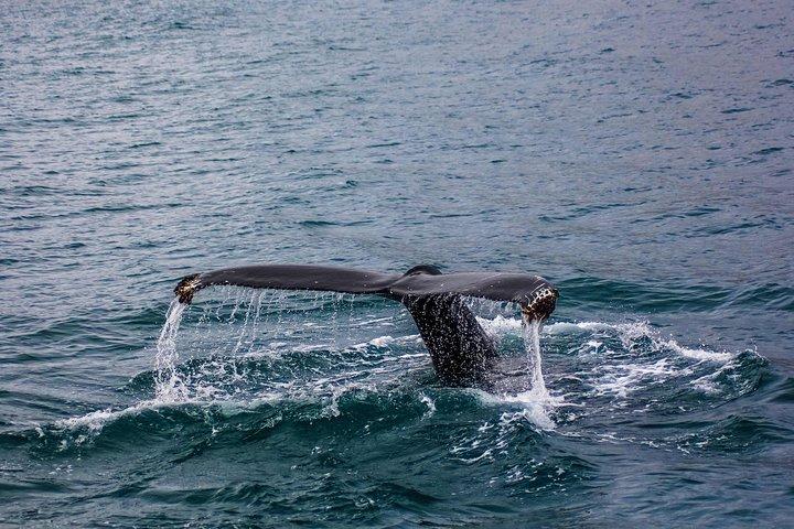 07 Days Sri Lanka Tour - Splendid Ceylon
