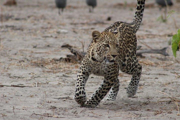 03 Days Sri Lanka Tour - Wild Life Hotspots