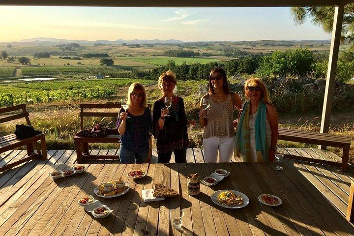 Visit 2 wineries in a day