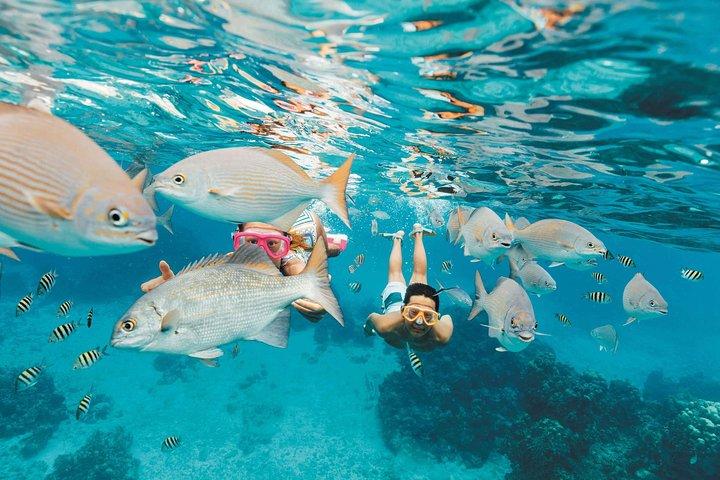 Snorkeling in Puerto Morelos