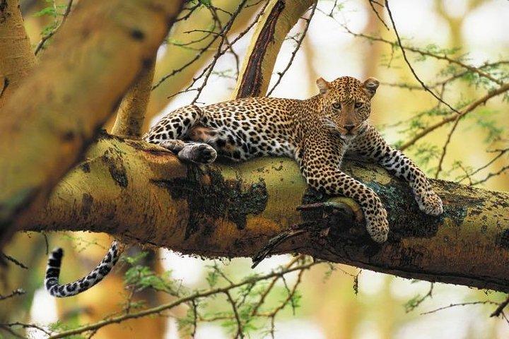 Lake Nakuru National park Day Tour From Nairobi