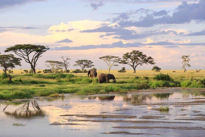 3 Days-Tarangire, Ngorongoro & Lake Manyara: Camping Joint Safari.