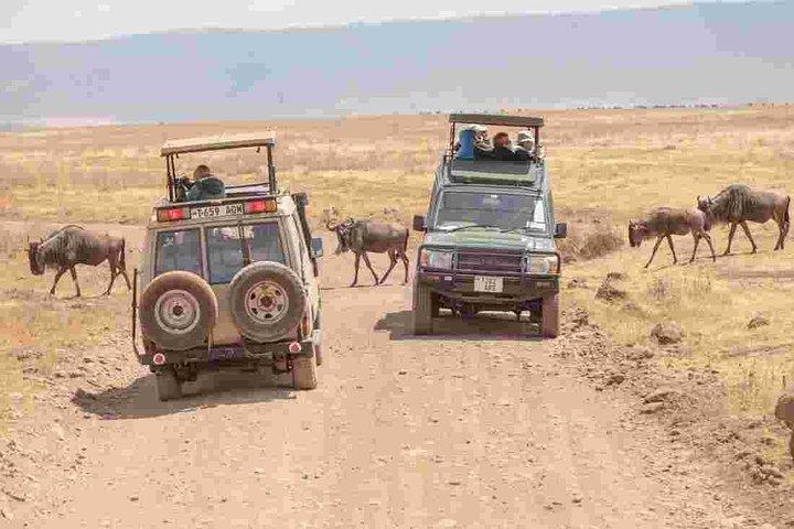 3 Days-Tarangire, Ngorongoro & Lake Manyara: Camping Joint Safari.
