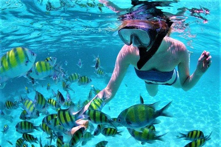 Luxury All-Inclusive Catamaran Cruise to Ile aux Cerfs and GRSE Waterfall