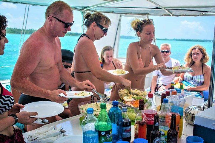 Catamaran Ile aux Cerfs, snorkeling + GRSE Waterfall, BBQ & Bar