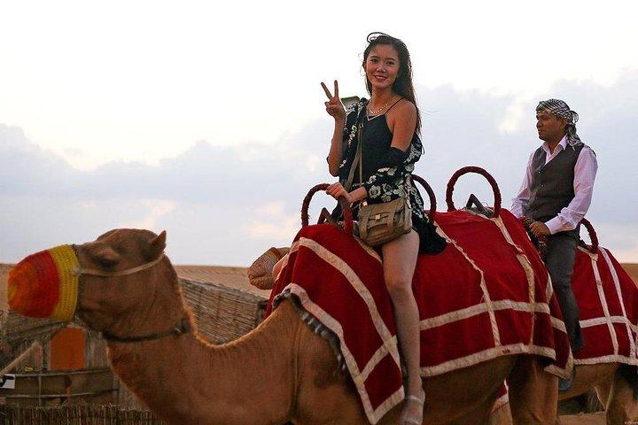 Private VIP Desert Safari with Barbecue Dinner 5 Star Camp