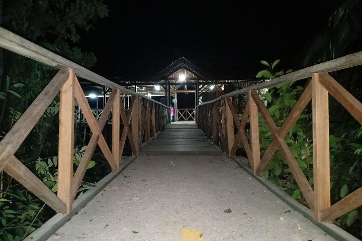 Bintan Fireflies Discovery Tour