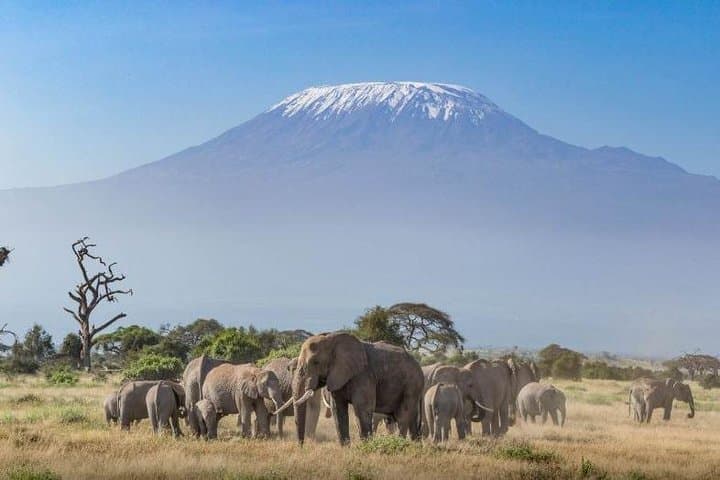 2-Day Kenya Safari - Amboseli National Park Adventure