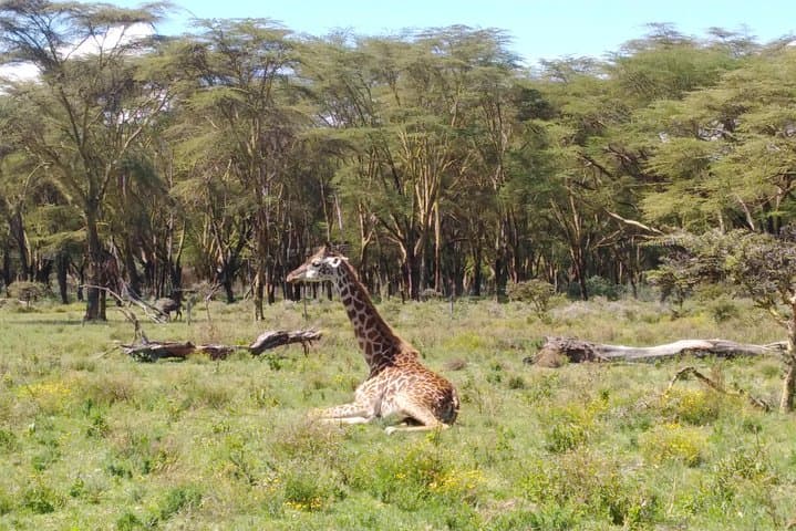 Lake Naivasha, Nakuru Day Excursion